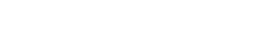 vimigo for CEO