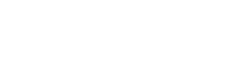 CVO Programme